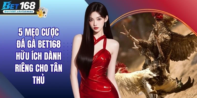 5 Mẹo Cược Đá Gà Bet168 Hữu Ích Dành Riêng Cho Tân Thủ