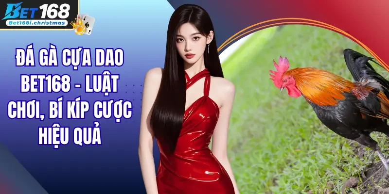 Đá Gà Cựa Dao Bet168 – Luật Chơi, Bí Kíp Cược Hiệu Quả