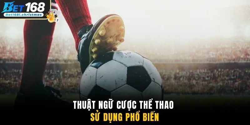 Thuật ngữ cược thể thao sử dụng phổ biến